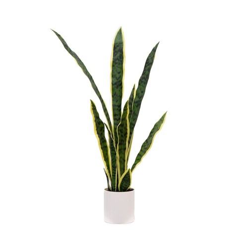 Artificial snake plant - plant, in